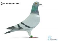 PL-0183-18-1687