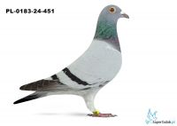 PL-0183-24-451 - Arkadiusz Herka 5 - AS Daleki Dystans 