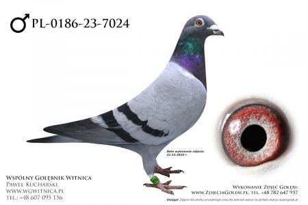 PL-0186-23-7024: Wadelski Miroslaw, m in 36m z FINAŁU