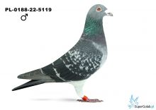 PL-0188-22-5119