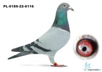 PL-0189-22-6116