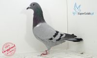 PL-0190-18-4730