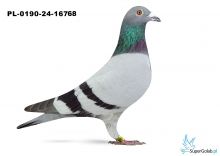 PL-0190-24-16768 - TEAM GX / B-T 6 - AS DALEKI DYSTANS