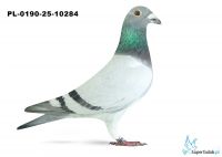 PL-0190-25-10284 WG Rejon VI Poznań