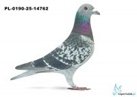 PL 0190-25-14762 WG Rejon VI Poznań