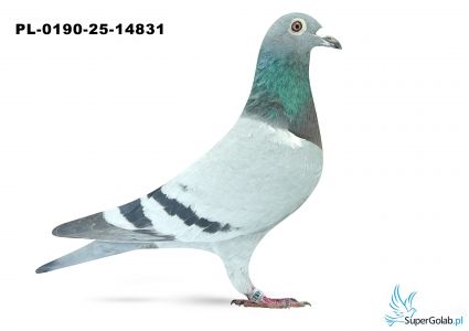 PL-0190-25-14831 3. OKRĘG KONIN