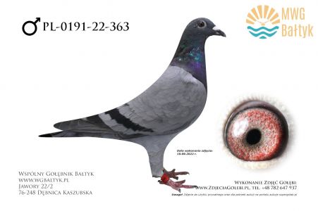 PL-0191-22-363: Sandra&Marcin Soltys, m.in. 71m., 65m. z FINAŁU