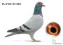 PL-0192-18-1204 + gratis PL-0310-24-151
