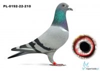 PL-0192-22-210