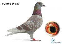 PL-0192-22-242