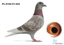 PL-0192-22-242