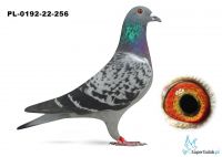PL-0192-22-256