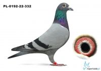 PL-0192-22-332
