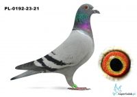 PL-0192-23-21