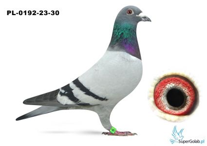 PL-0192-23-30
