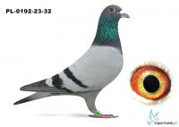 PL-0192-23-32