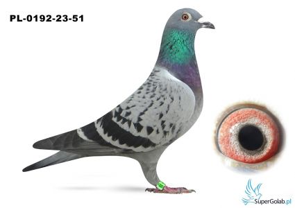 PL-0192-23-51