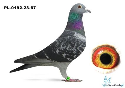 PL-0192-23-67