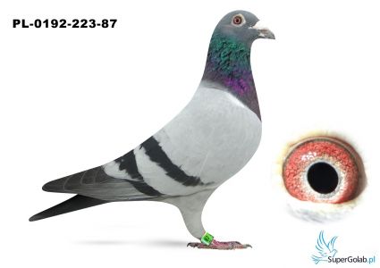 PL-0192-23-87