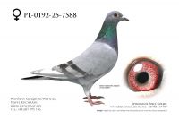 PL-0192-25-7588: Mietlicki-Szulc