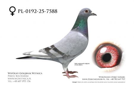 PL-0192-25-7588: Mietlicki-Szulc