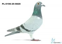 PL-0193-25-6253  32. OKRĘG KOSZALIN 