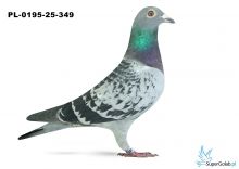 PL-0195-25-349 4. OKRĘG KRAKÓW