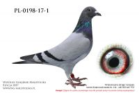 PL-0198-17-1