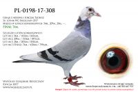 PL-0198-17-308