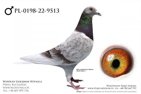 PL-0198-22-9513: Gorka Marian, 87. Lotnik, m in 47m, 45m z FINAŁU