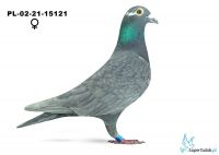 PL-02-21-15121