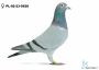 PL-02-23-5620