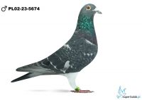 PL-02-23-5674