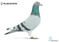PL-02-23-5734