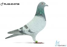PL-02-23-5738
