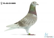 PL-02-23-5809