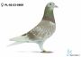 PL-02-23-5809