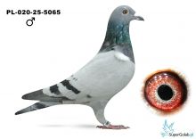 PL-020-25-5065 Karol Paszek  