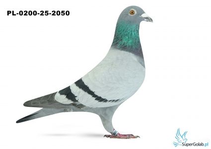 PL-0200-25-2050 26. OKRĘG ŚLĄSK WSCHÓD