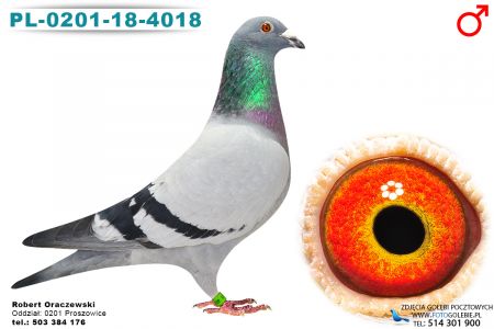 PL-0201-18-4018
