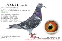 PL-0206-17-10363