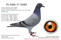 PL-0206-17-10481