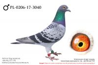PL-0206-17-3040 - samczyk