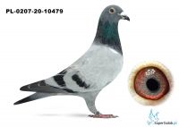 PL-0207-20-10479- Lotnik 1245 x córka Toma