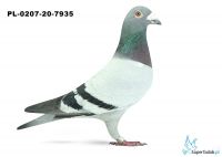 PL-0207-20-7935