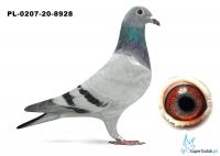 PL-0207-20-8928 - 100%Leo Heremans