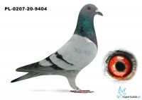 PL-0207-20-9404