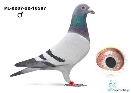 PL-0207-22-10507