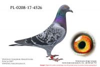 PL-0208-17-4526