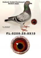 PL-0208-20-8910